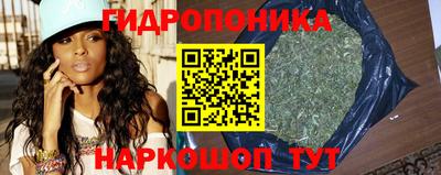 стафф Лесосибирск