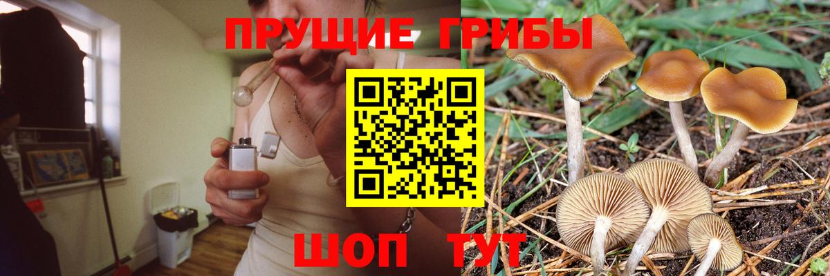 Галлюциногенные грибы Cubensis  Вход с VPN  Псилоцибиновые грибы Psilocybine cubensis  сколько стоит  Губаха 